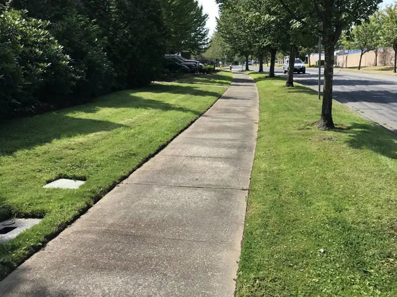 Gallery Thumbnail 16