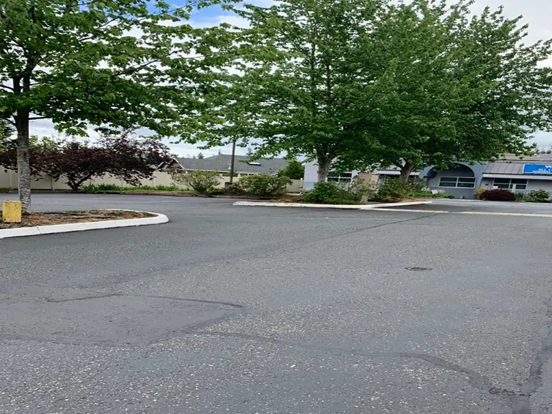 Gallery Thumbnail 29