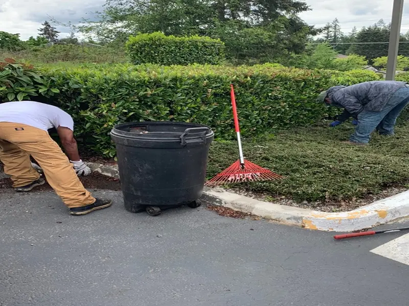 Gallery Thumbnail 30