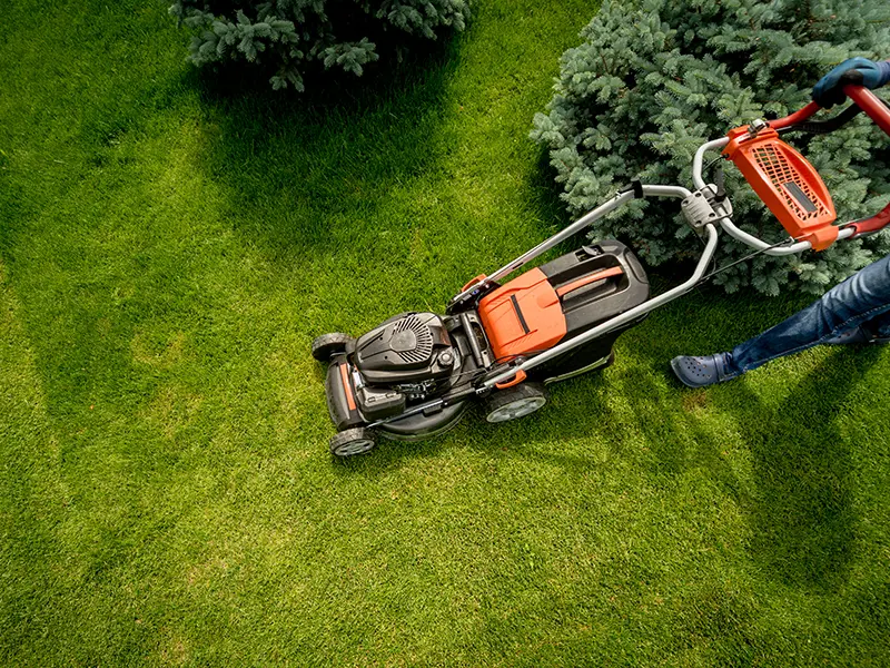 High-Value Landscaping Design and Construction in Seattle